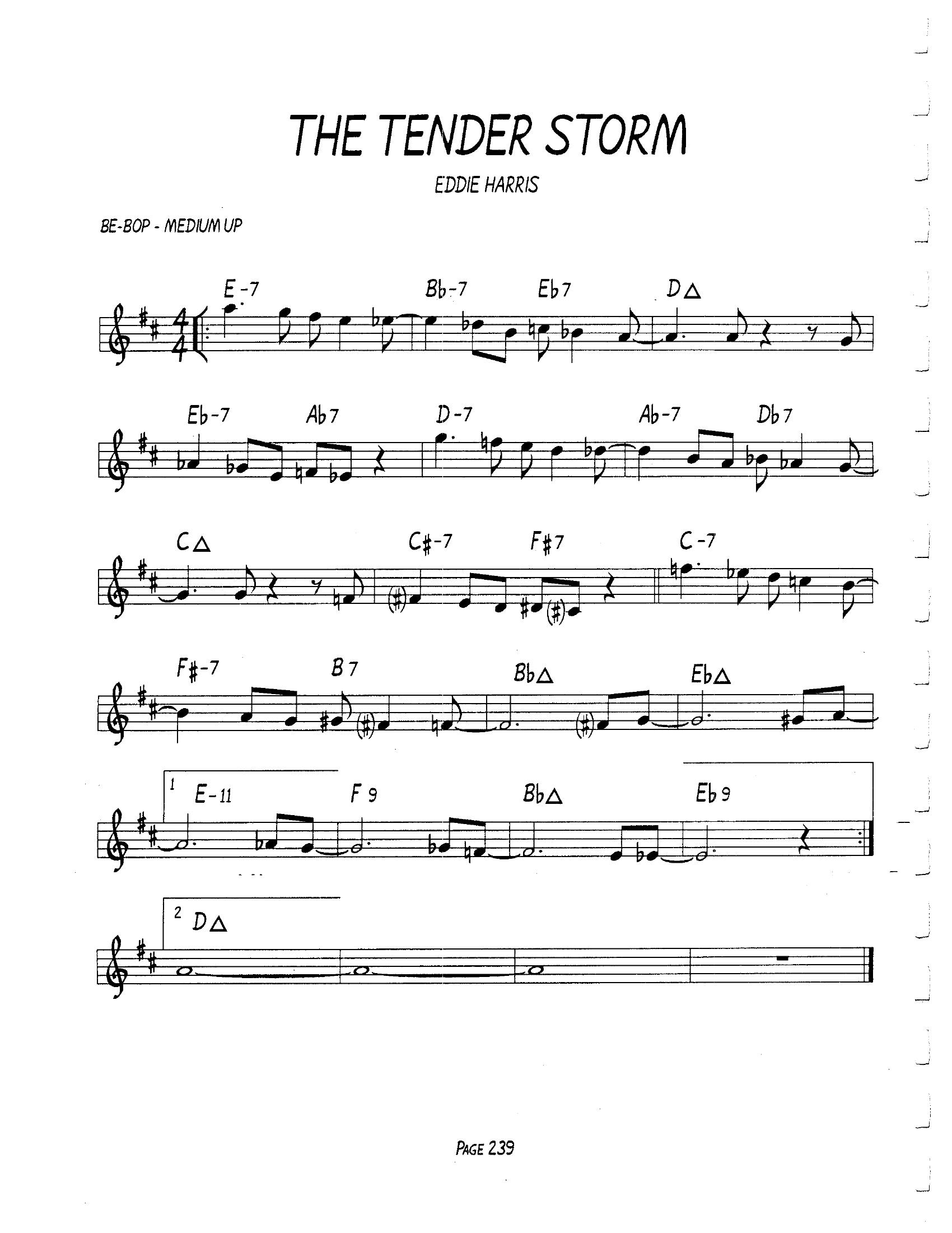 The Tender Storm The Tender Storm