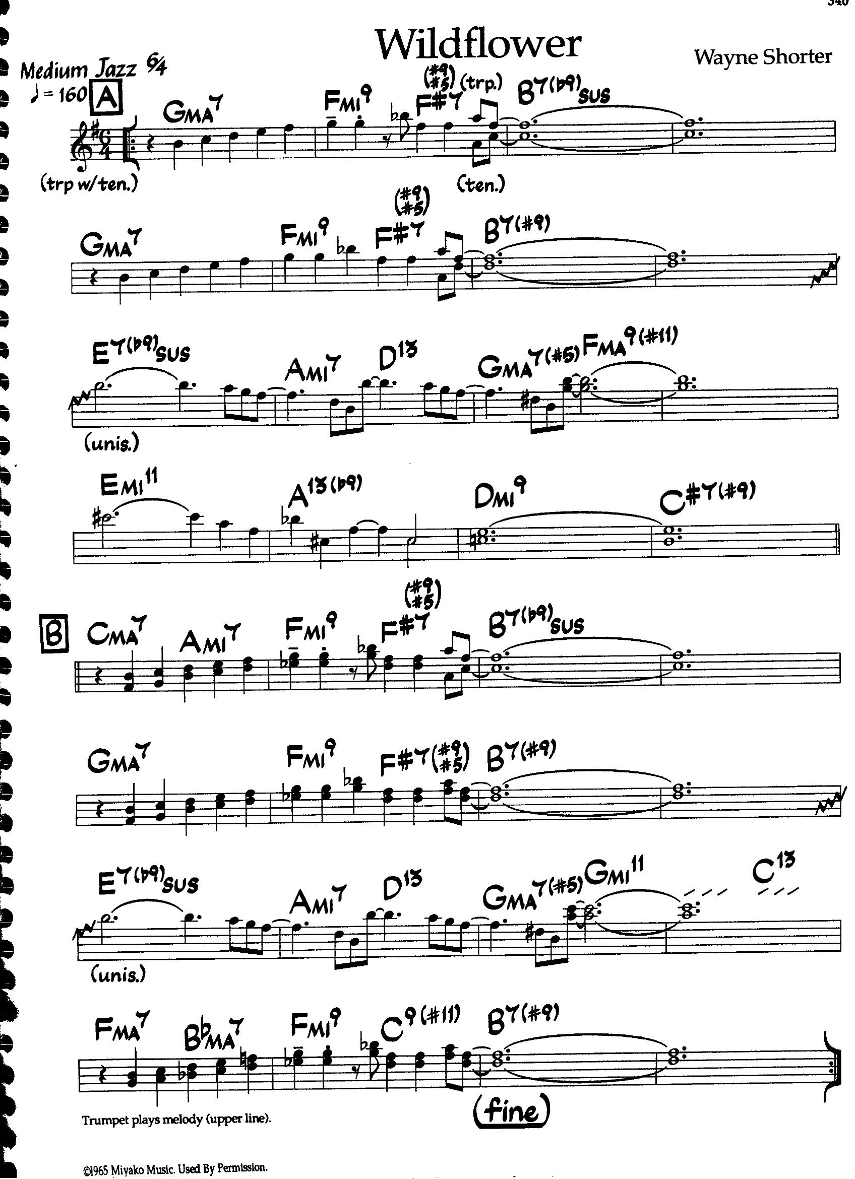 Wildflower — Wayne Shorter Wildflower — Wayne Shorter