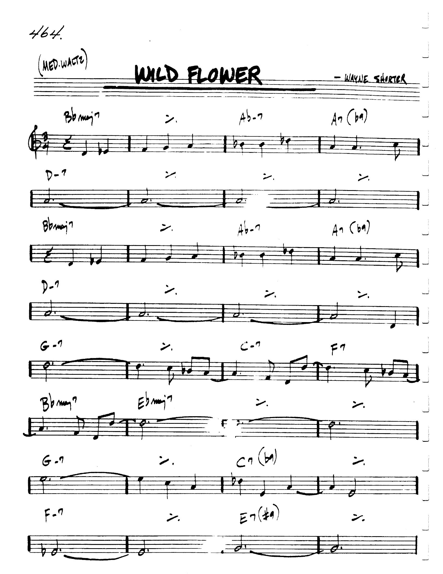 Wild Flower Wild Flower