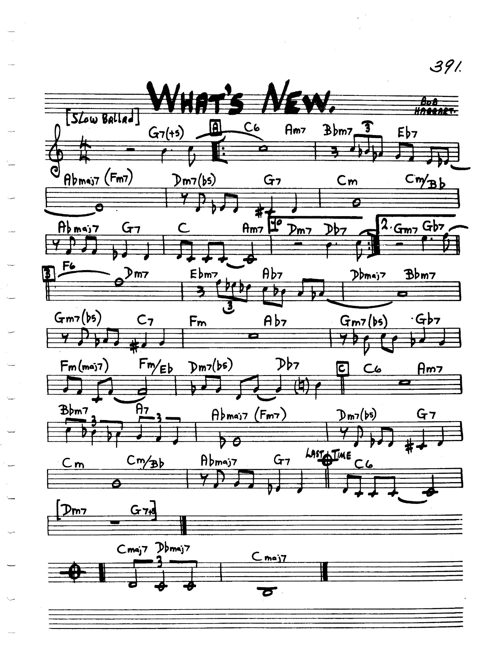 What's New What's New