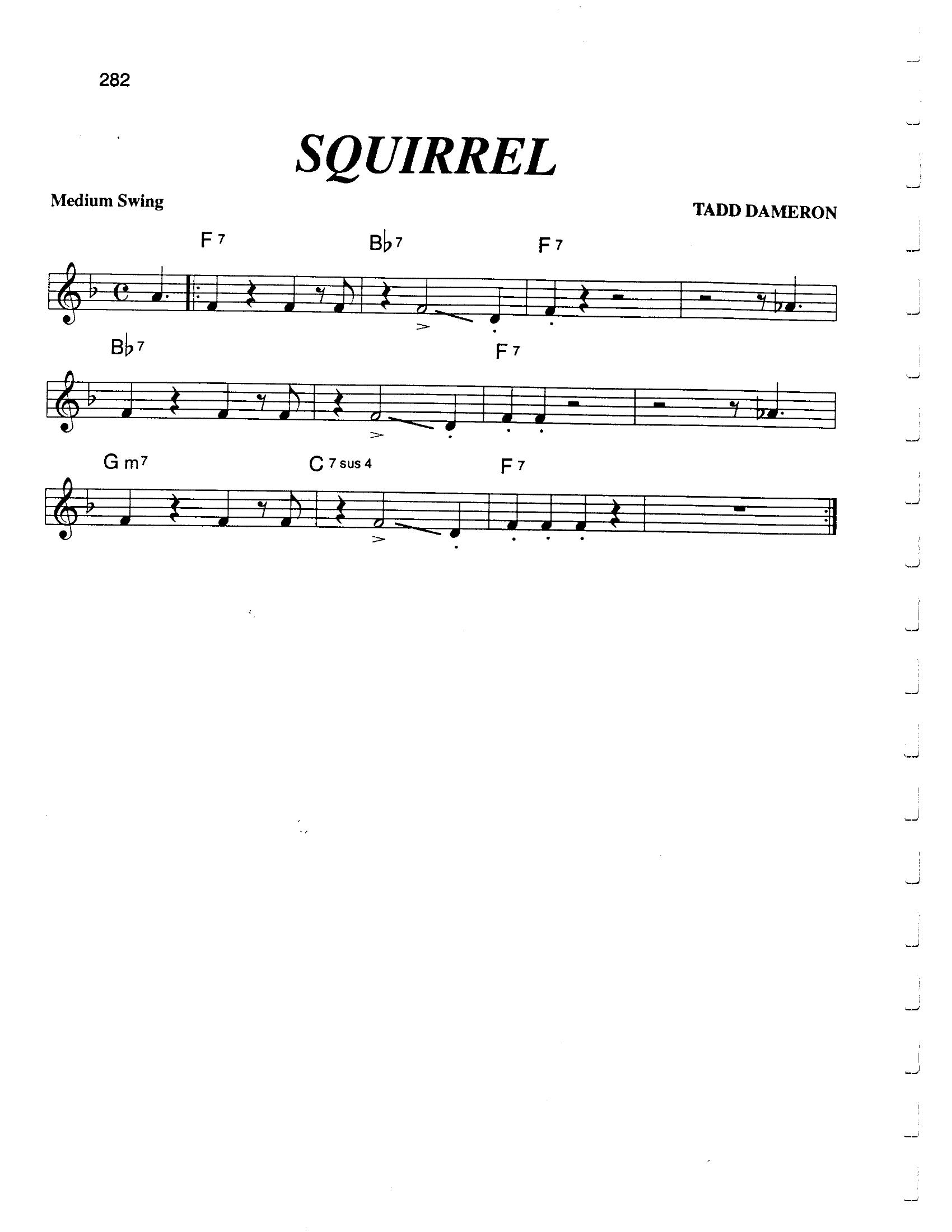 Squirrel Squirrel