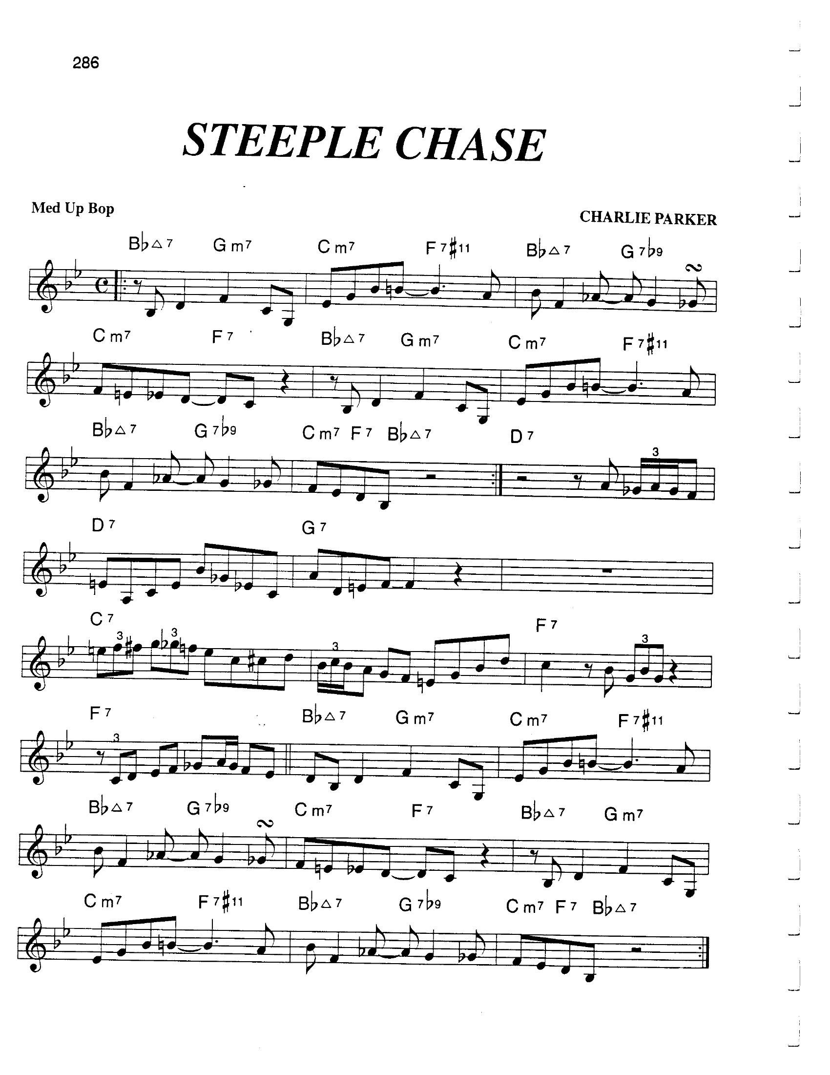 Steeple Chase Steeple Chase