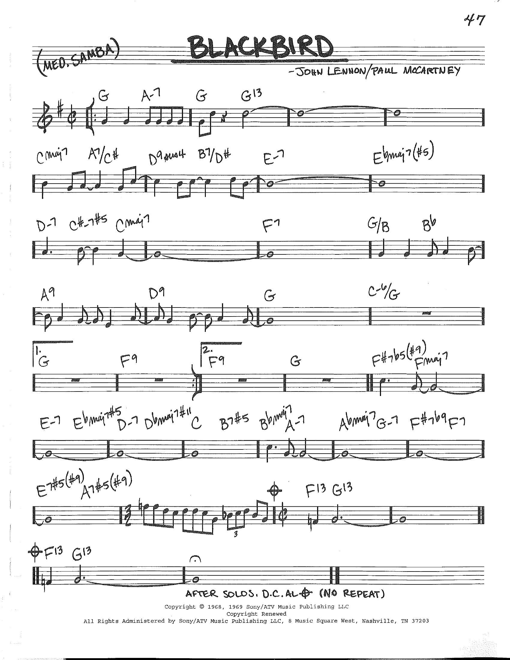 Blackbird Blackbird